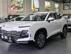 جيتور داشينج